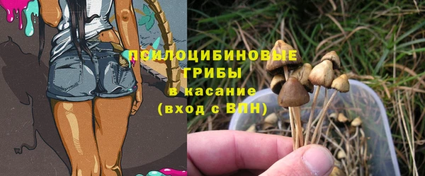 прущий лед Костерёво