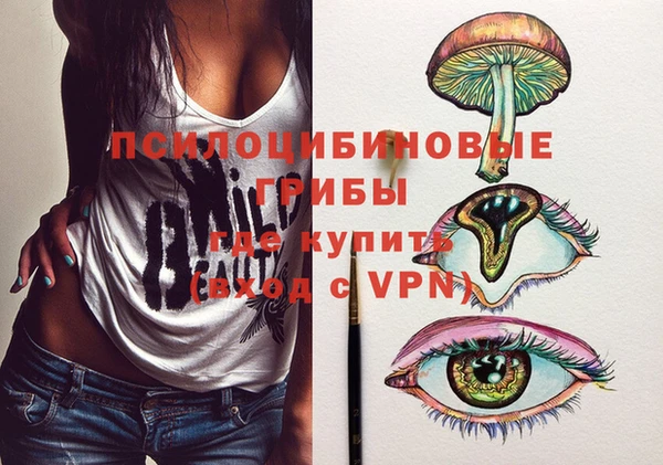марки lsd Краснослободск