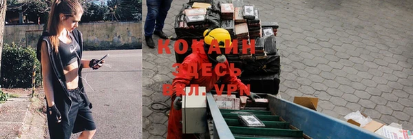 прущий лед Костерёво