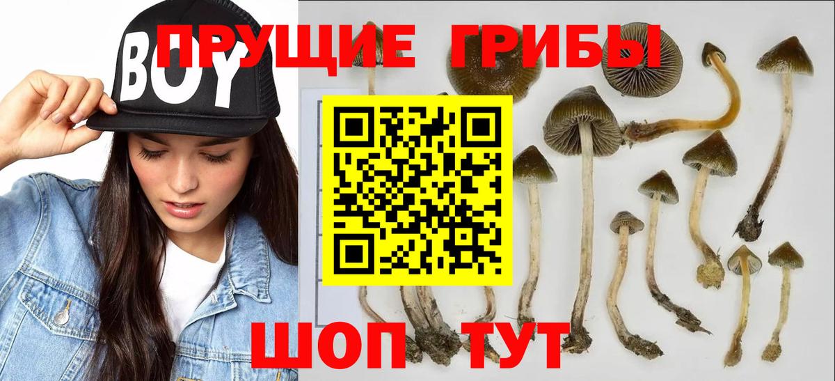 Галлюциногенные грибы ЛСД  Вход с VPN  Кумертау 