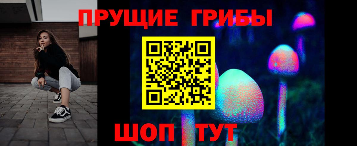 Галлюциногенные грибы Cubensis Кумертау